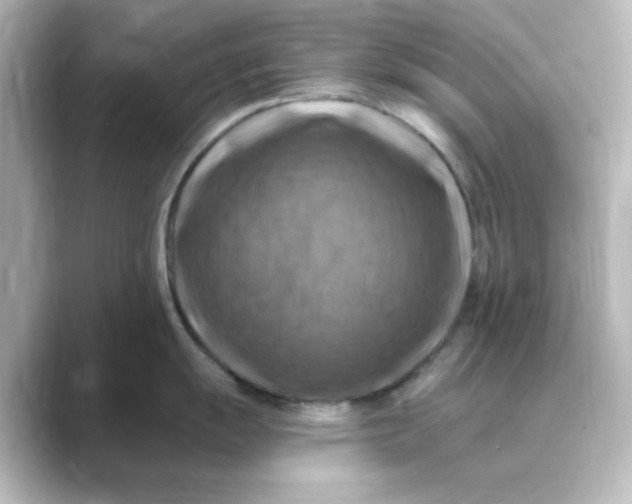 X0000088751055200706212111