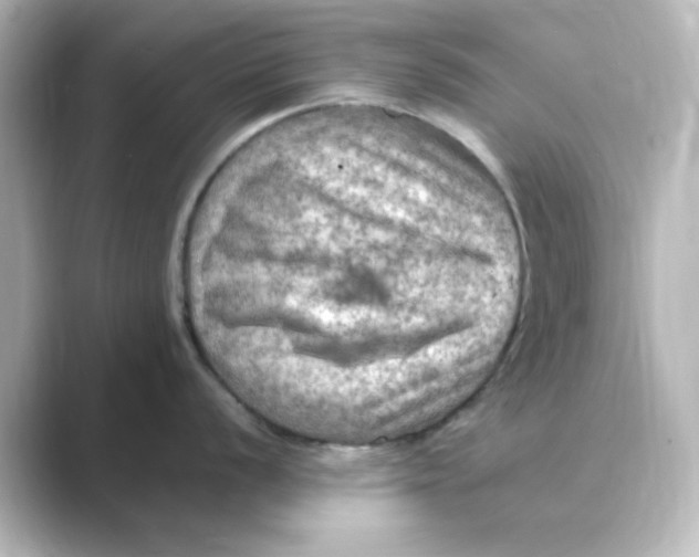 X0000088751056200706212111