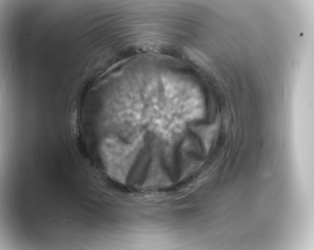 X0000088751060200706212111