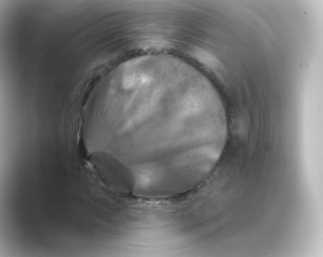 X0000088751063200706212111