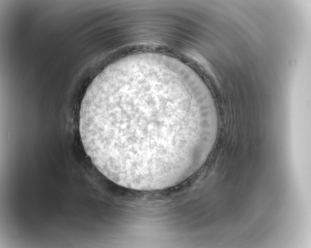 X0000088751064200706212111