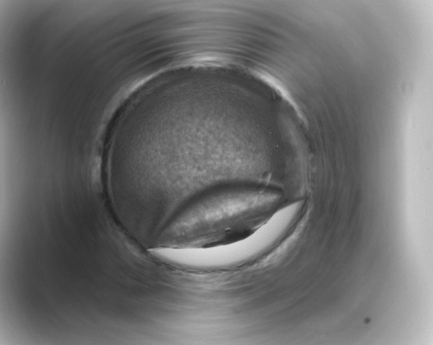 X0000088751066200706212110