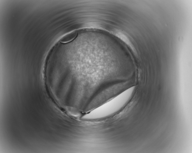 X0000088751068200706212110