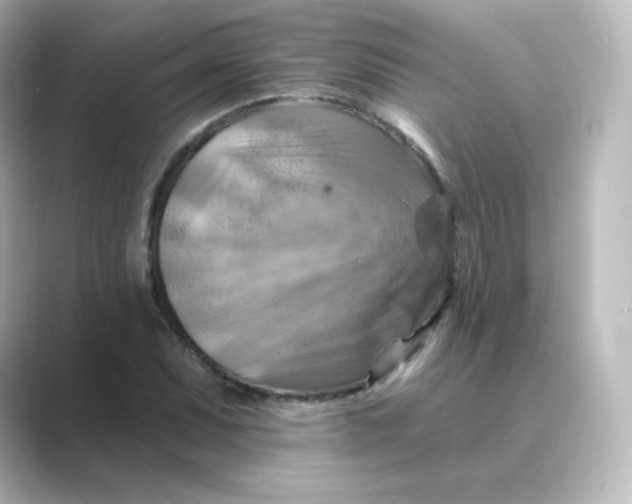 X0000088751071200706212110