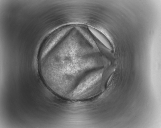 X0000088751072200706212110