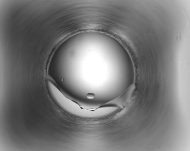 X0000088751073200706212110