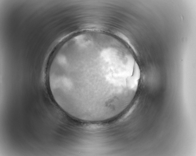 X0000088751074200706212110