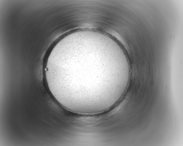 X0000088751075200706212110