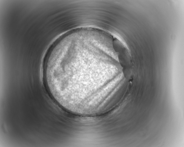 X0000088751076200706212110