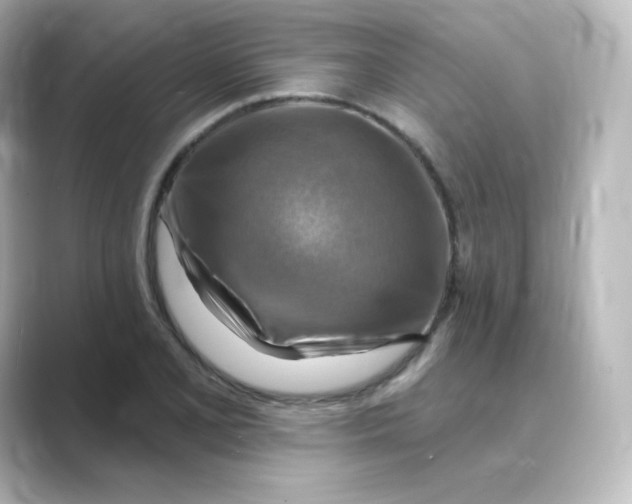 X0000088751077200706212110