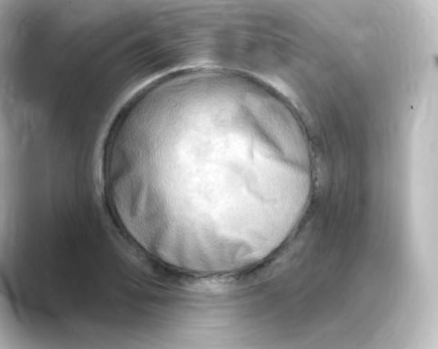 X0000088751078200706212110