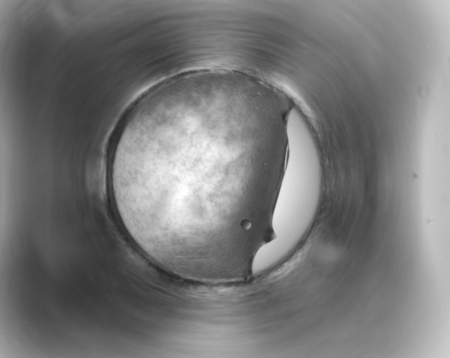 X0000088751079200706212110