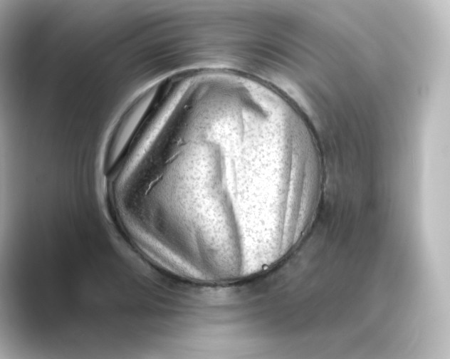 X0000088751080200706212110