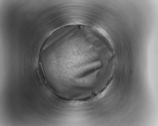 X0000088751081200706212110