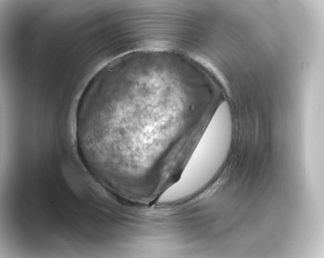 X0000088751083200706212110