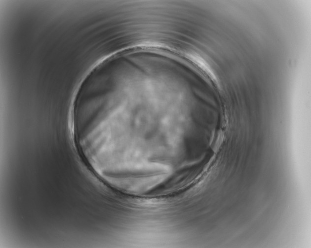 X0000088751084200706212110