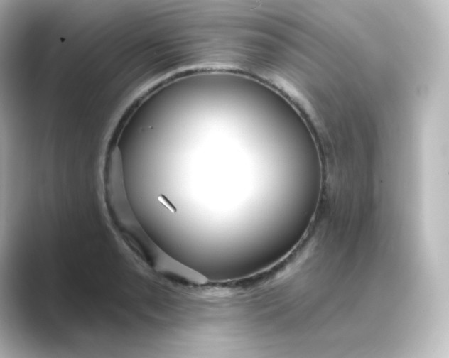 X0000088751085200706212110