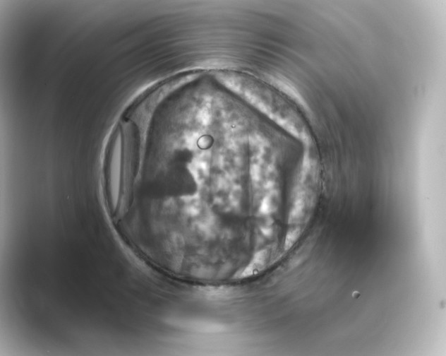 X0000088751087200706212110