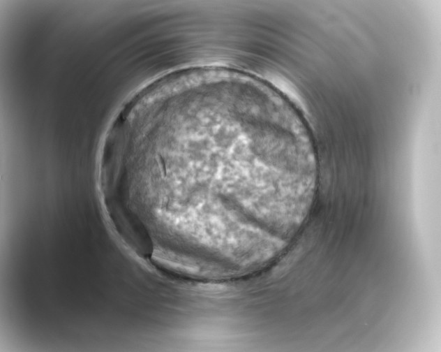 X0000088751088200706212110