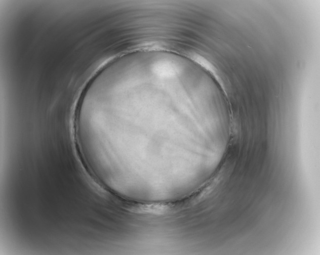 X0000088751090200706212110