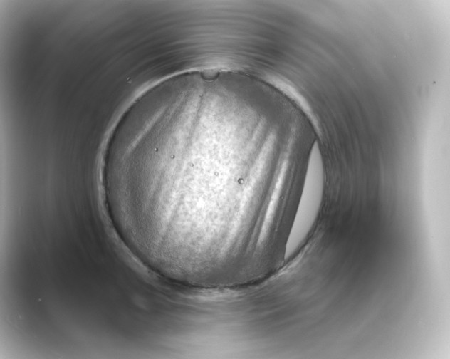 X0000088751091200706212110