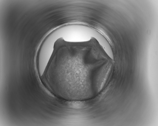 X0000088751092200706212110