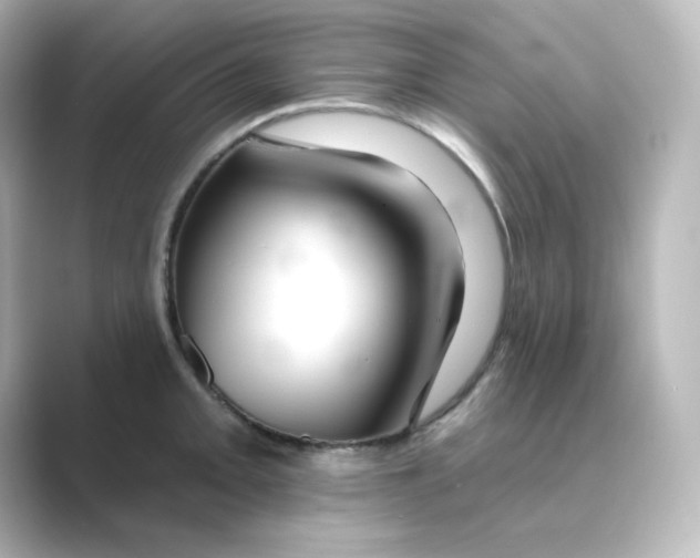 X0000088751093200706212110