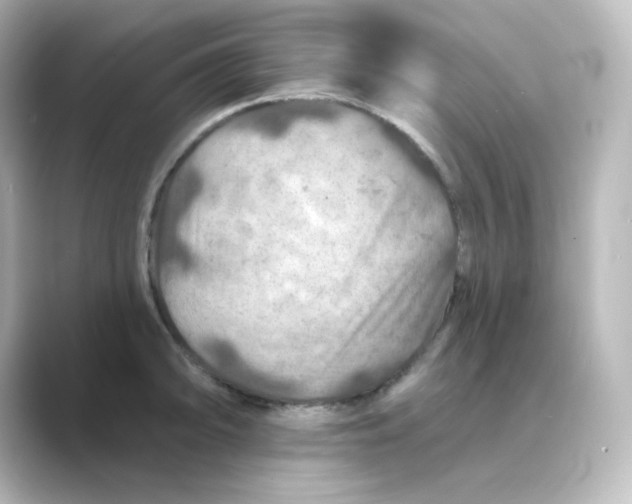 X0000088751094200706212110