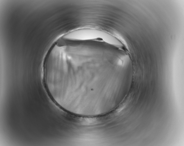 X0000088751095200706212110