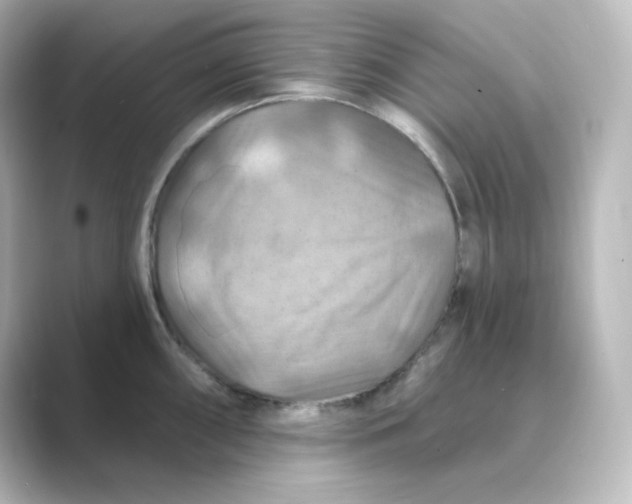 X0000088751098200706212110