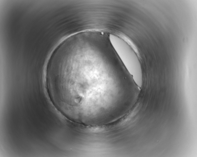 X0000088751099200706212110