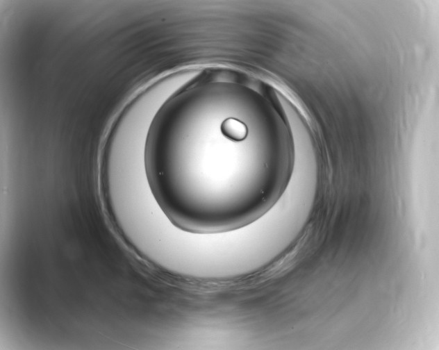 X0000088751101200706212110