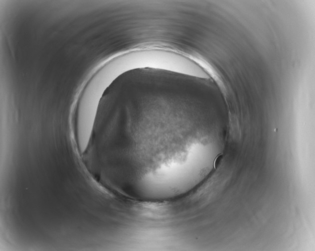 X0000088751102200706212110