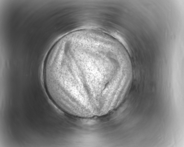 X0000088751103200706212110