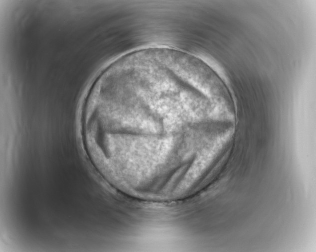 X0000088751104200706212110