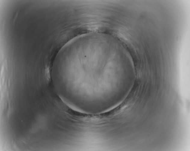 X0000088751106200706212109