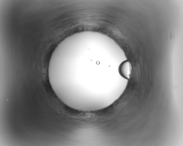 X0000088751109200706212110