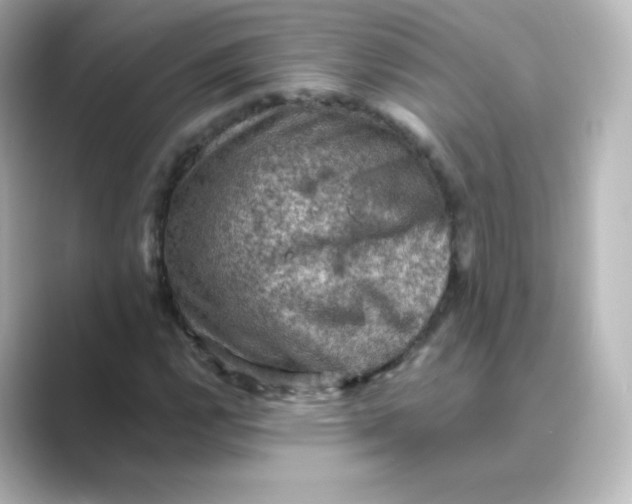 X0000088751112200706212110