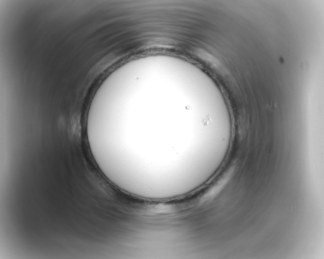 X0000088751113200706212110