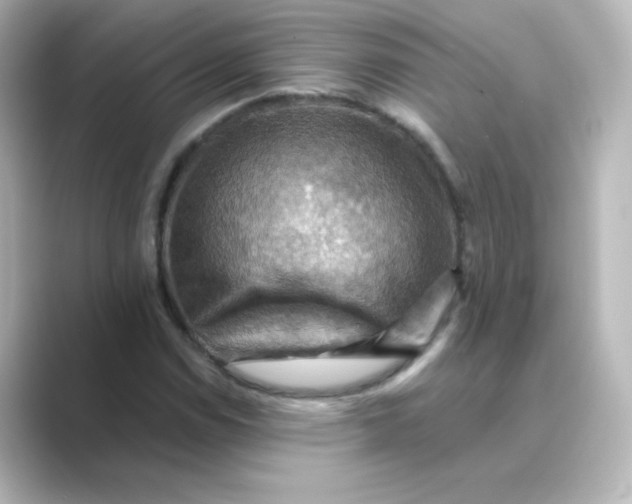 X0000088751114200706212110