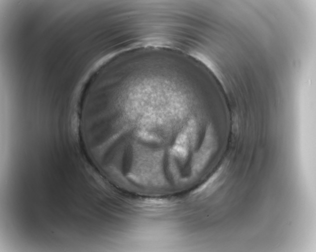 X0000088751115200706212110