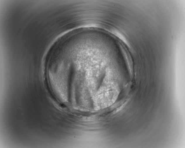 X0000088751116200706212110