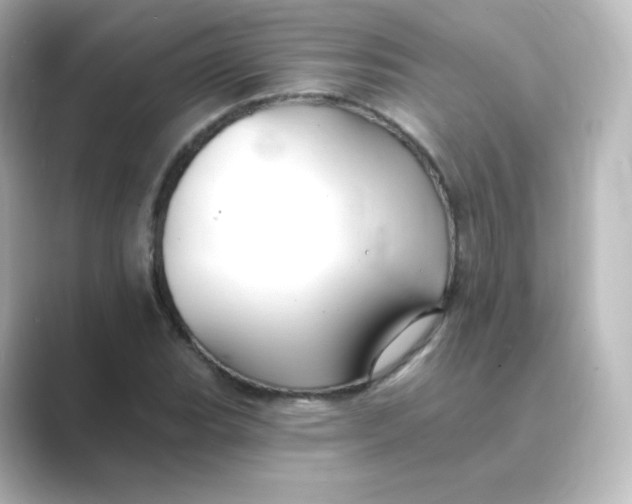 X0000088751119200706212110