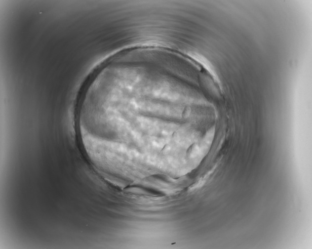 X0000088751120200706212110