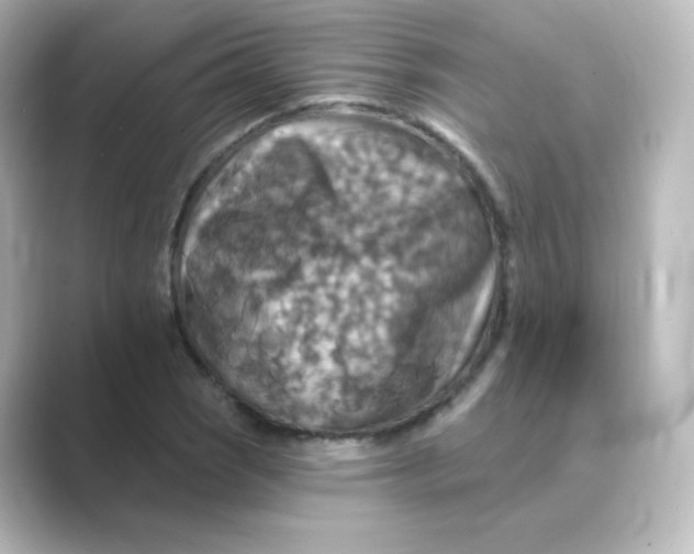 X0000088751121200706212110