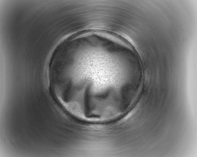 X0000088751123200706212110