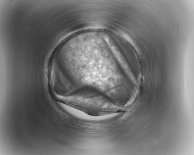 X0000088751124200706212110