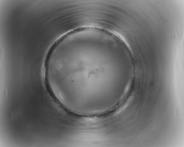 X0000088751125200706212110