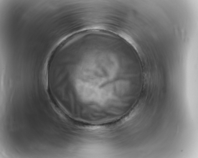 X0000088751127200706212110