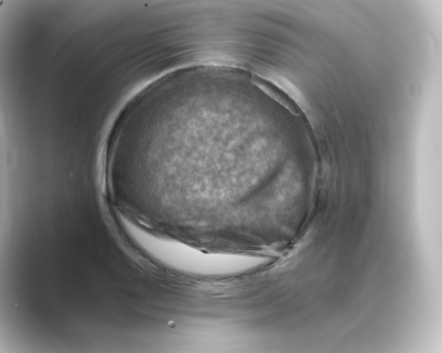 X0000088751128200706212110